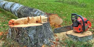 Best Leaf Removal  in Newville, PA